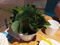 嫩叶小菠菜-青瓷火锅料理(西单大悦城店)