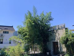 -杭州西湖风景名胜区-满觉陇四眼井