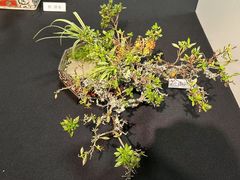 -今日陶艺(富力广场店)