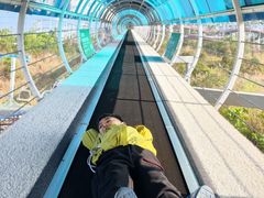 -盈香心动乐园