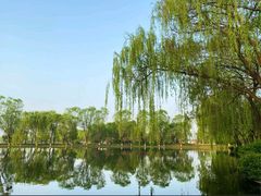 -石家庄市植物园