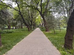 -玲珑塔公园