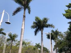 -白鹭洲公园