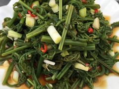 水蕨菜-锅贴杨一手特色豆花烤鱼饭店(荔波美食街店)