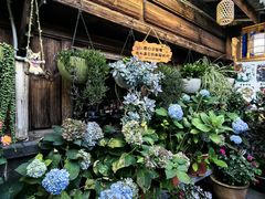 -龙姐私房菜(和顺古镇店)