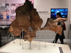 -北京周口店北京人遗址博物馆