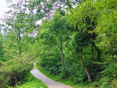-青龙山国家森林公园