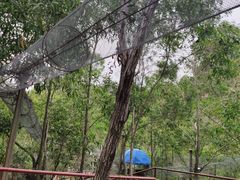 -汕尾铜鼎山旅游区