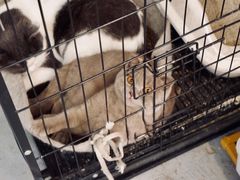 -颐玖 咖啡|甜品