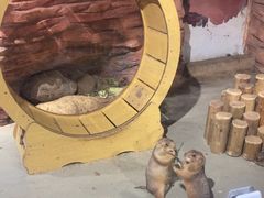 -正佳雨林生态植物园