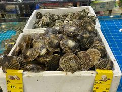 -三亚火车头万人海鲜广场