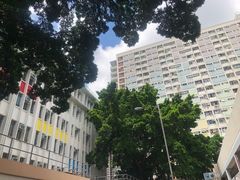 -彩虹村