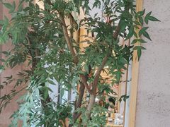 -陈厨老味·老派郴州菜(宜章店)