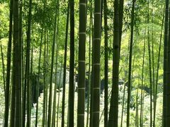 -山沟沟景区