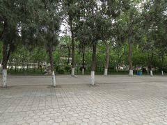 -保定市动物园