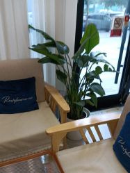 -和颜一美轻医美连锁