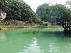 -靖西鹅泉风景区