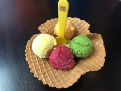 -夏食纪 SummerTime Gelato(九龙意库店)
