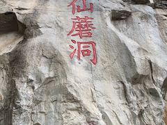 -仙蘑洞
