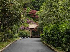 -全国青少年井冈山革命传统教育基地
