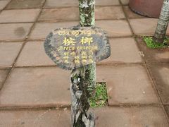 -曼听御花园