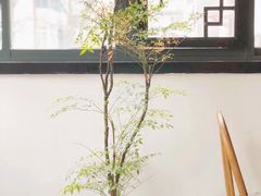-知亘茶食