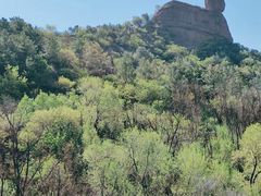 -磬锤峰森林公园