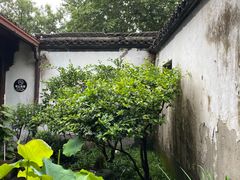-院子餐厅·大锅菜·老杭帮(桥西直街店)