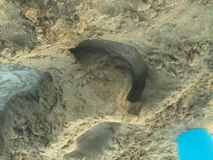 -嵊泗基湖沙滩