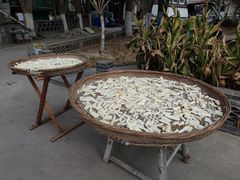 -费孝通江村纪念馆