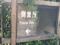 -金山农民画村-枫泾波兰倒置屋