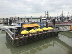 -Steveston Pizza Company (Richmond)