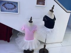 -西安小天鹅艺术团(曲江Alice店)