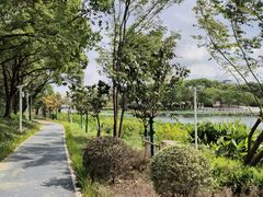 -新江湾城公园