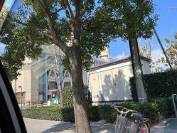 -上海浦滨儿童医院