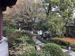 -十八棵（老龙井）御茶园(老龙井店)