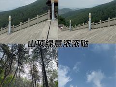 -铁山坪森林公园