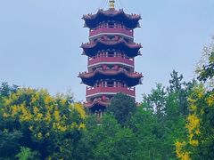 -云龙湖旅游景区