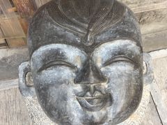 -两棵枇杷树