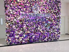 -肃宁华斯国际裘皮城