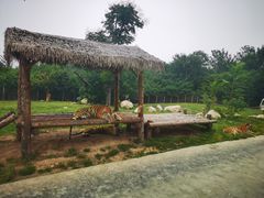 -西安秦岭野生动物园