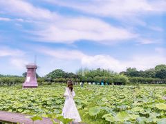 -武汉紫薇都市田园