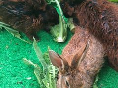 -泉州海丝野生动物世界