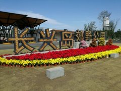 -上海长兴岛郊野公园