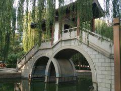 -团结湖公园