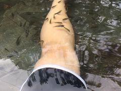 -三亚珠江南田温泉度假区