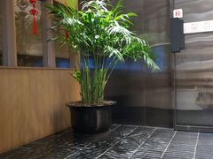 -德发长·花式蒸饺(大唐不夜城店)