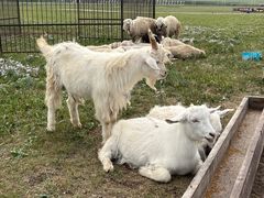 -呼和诺尔旅游景区