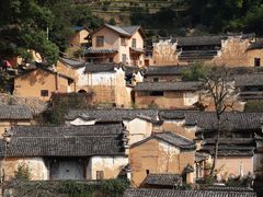 -杨家堂村