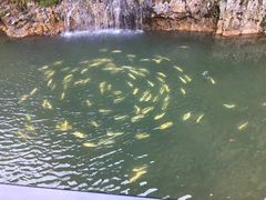 -大连天门山国家森林公园